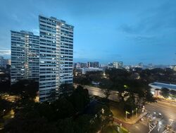 Blk 57 Geylang Bahru Ville (Kallang/Whampoa), HDB 3 Rooms #525613731